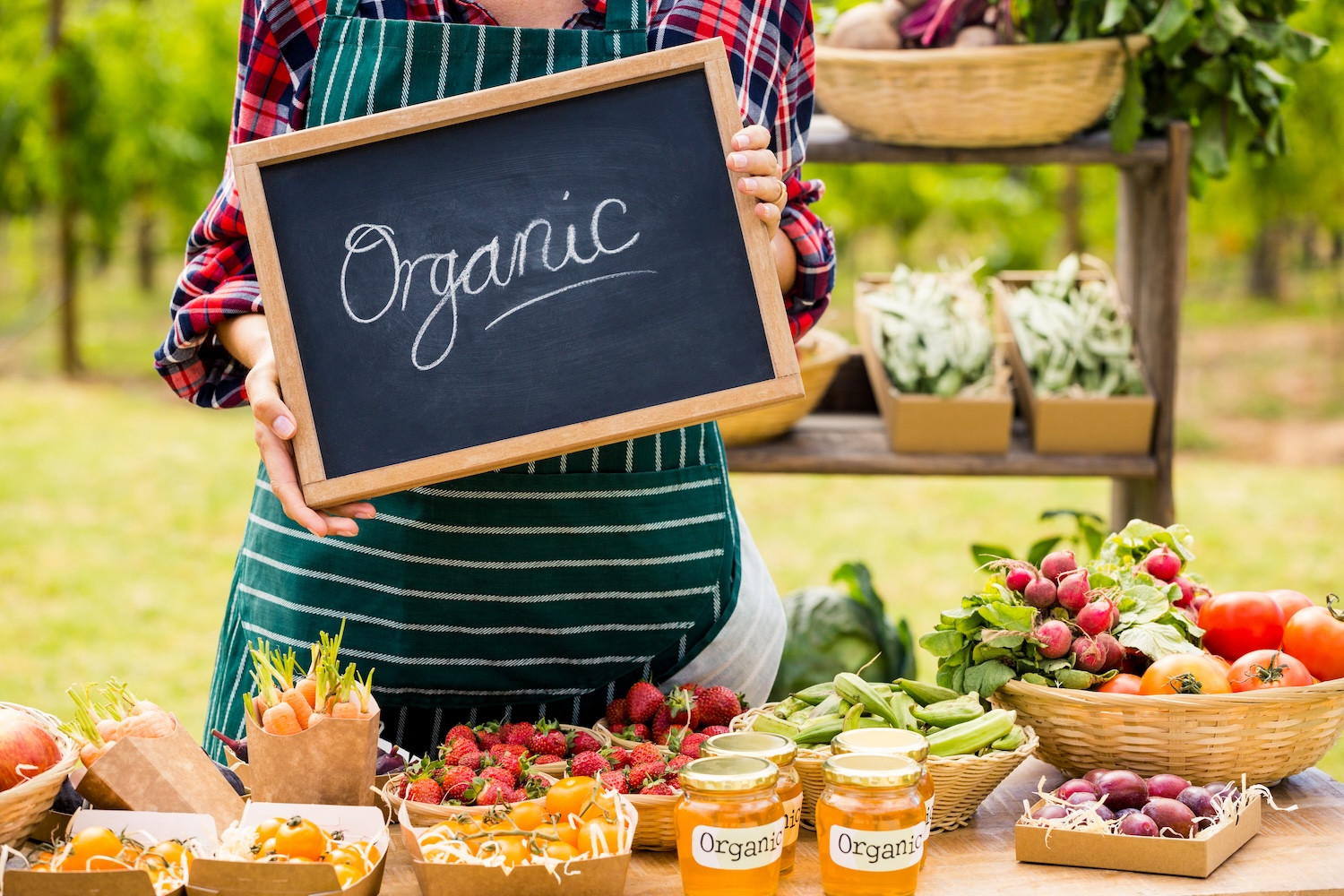 Top 10 Health Benefits of Choosing Organic and Natural Products
